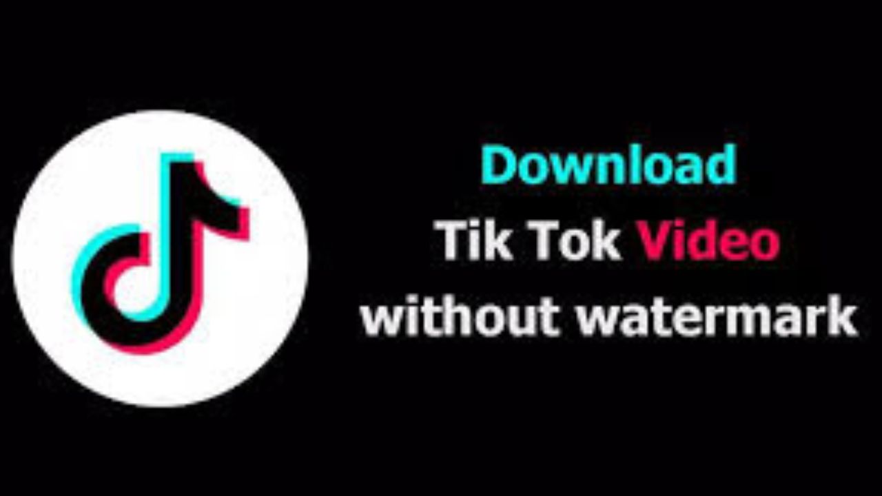 Tiktok Downloader