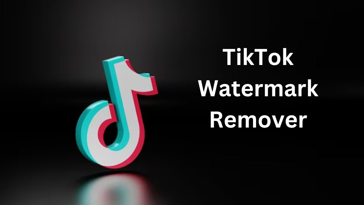 TikTok Watermark Remover