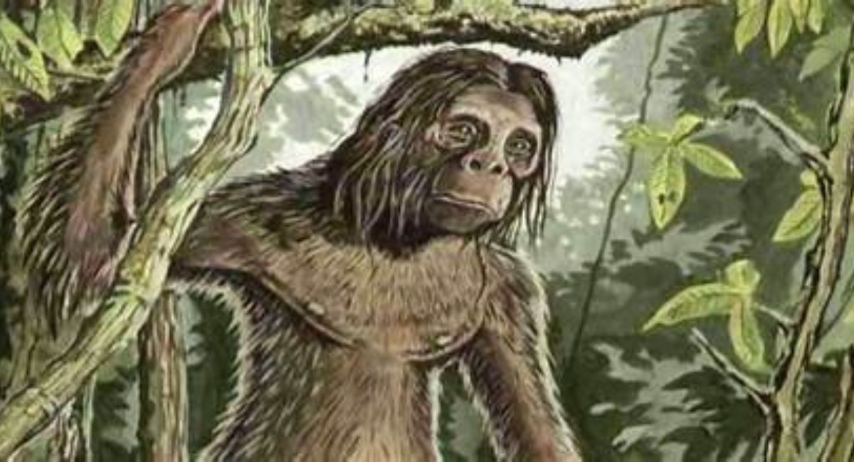 Orinpendex